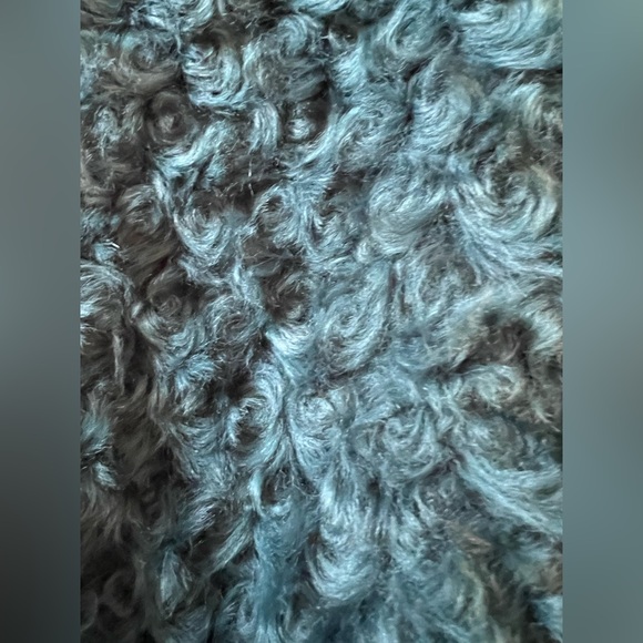 Anthropologie Curly Faux Fur Jacket in Teal. Large. Like New. - Picture 7 of 12